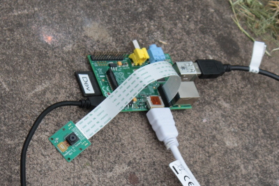 Raspberry Pi Camera module connected to the Pi using a ribbon cable