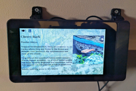 Piquarium. Raspberry Pi based aquarium information display.